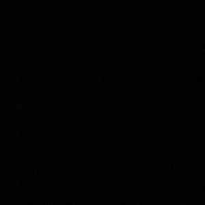 Meet your Posher, Isabel